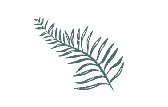 Foxberry Logo