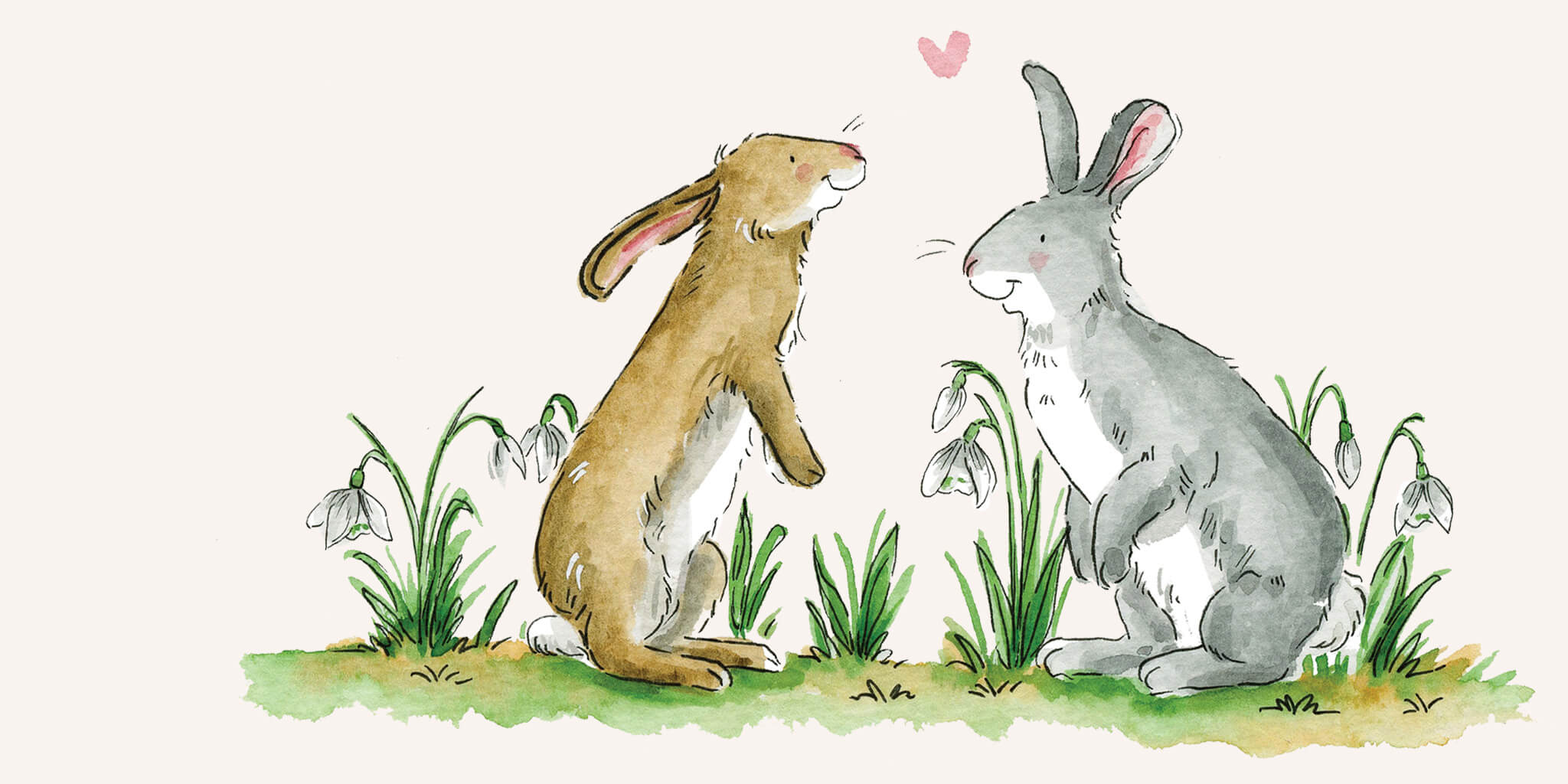 Bunny Illustration