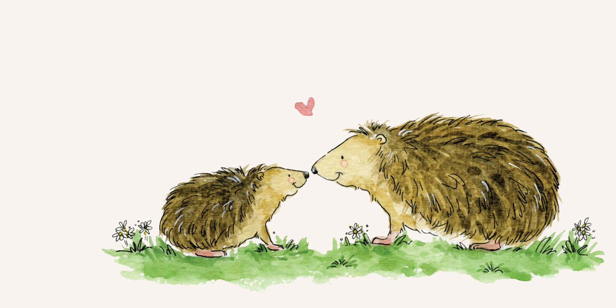 Hedgehog Illustration