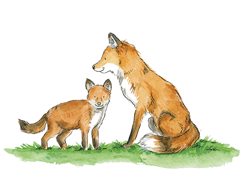 Fox & Cub Illustration