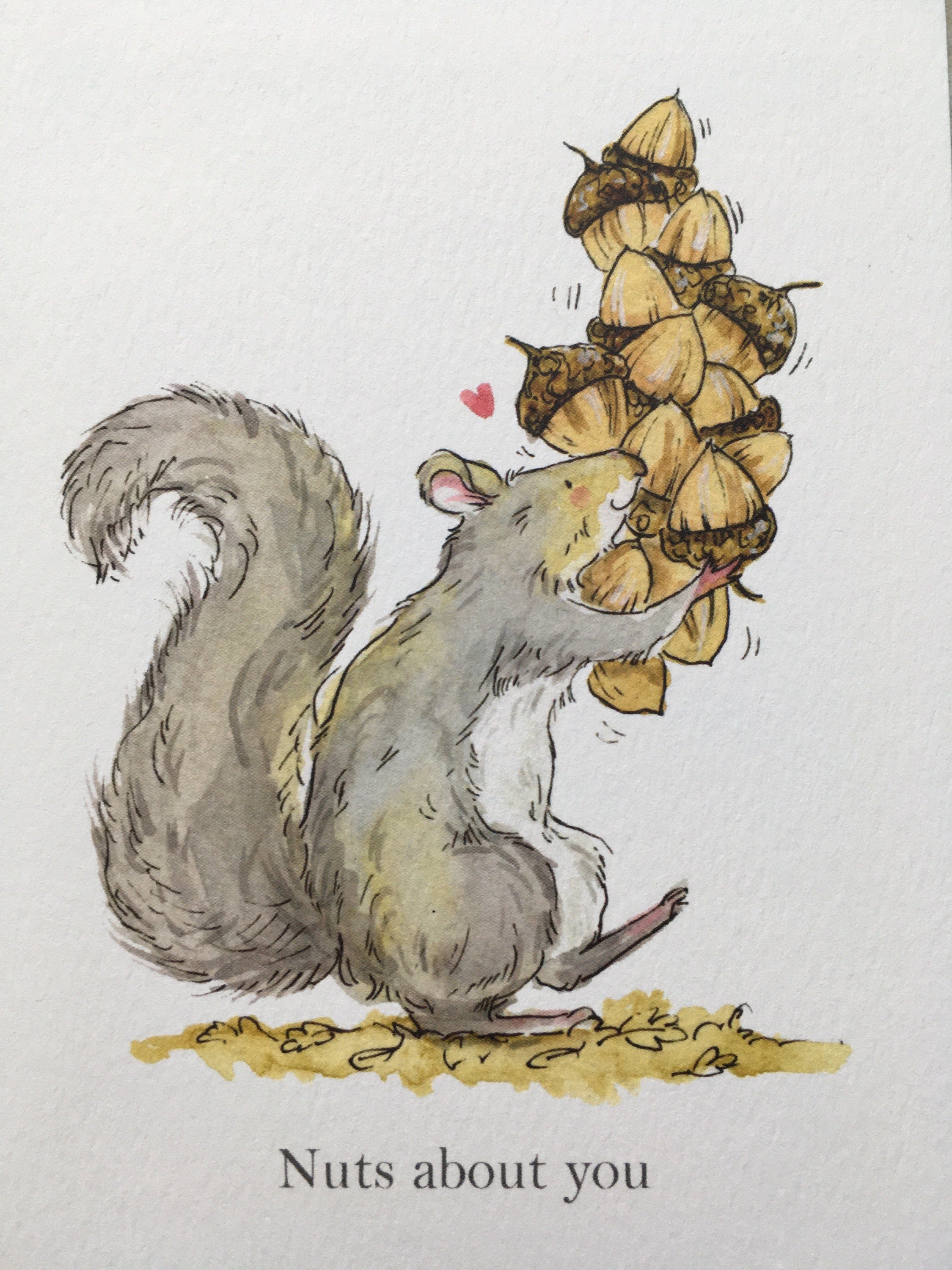 Nuts about you Valentine's Card